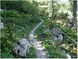 Bohinjsko sedlo - Rušni vrh